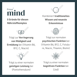 240229priosa-brain-produktbilder3