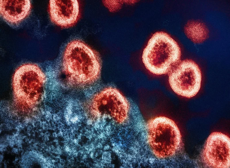 Begriffsklärung - Bioverfügbarkeit
